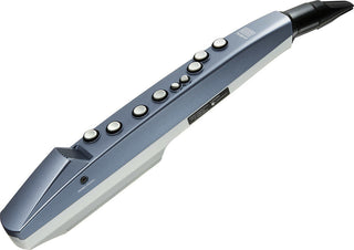 Aerophone Roland AE-01