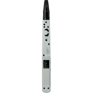 Aerophone Roland AE-01