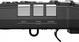 Aerophone Roland AE-05