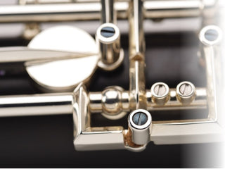 Buffet-Crampon Prodige Oboe