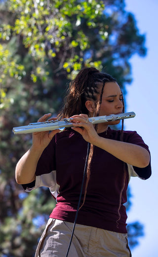 Aerophone Brisa
