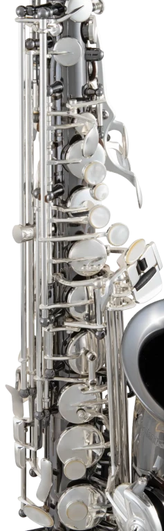 Selmer SAS711B Alto Saxophone (Black Nickel)