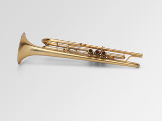 Adams A1 V2 Satin Gold Bb Trumpet