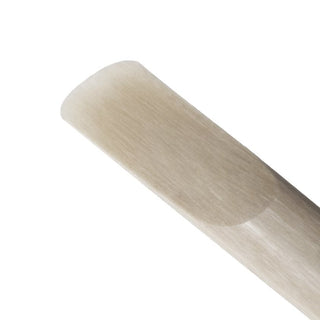 Anche Saxophone Alto VENN par D'addario G2