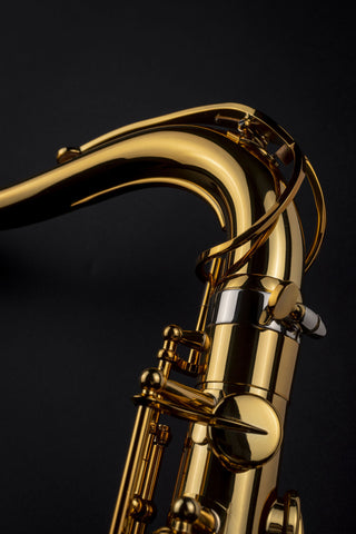 Saxophone Alto Selmer Paris Signature