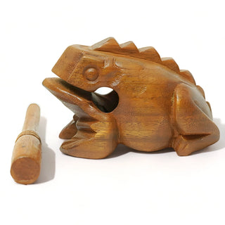 Guiros Famille Grenouille - Groove Masters