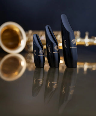 Bec Saxophone Soprano Selmer CONCEPT