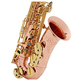 Buffet Crampon Senzo Alto Saxophone