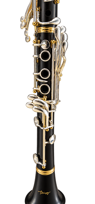 Twigg Professional Clarinet