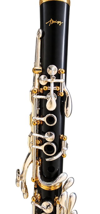 Twigg Professional Clarinet