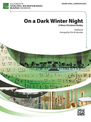 On a Dark Winter Night