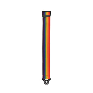 Courroie Guitare D'Addario Polypro Auto Lock 