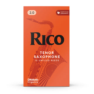 Anches Saxophone Ténor Rico (10)