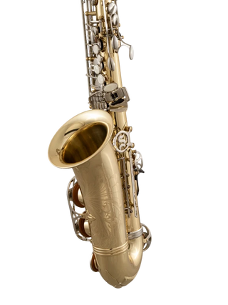 Selmer SAS301 Alto Saxophone