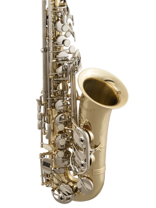 Selmer SAS301 Alto Saxophone