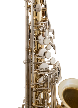 Selmer SAS301 Alto Saxophone