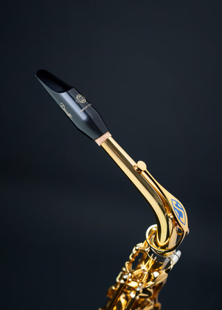 Bec Saxophone Alto Selmer Density