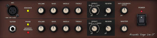 Amplificateur de Guitare Acoustique Boss ACS-LIVELT