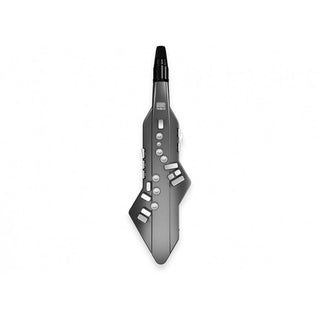 Aerophone Roland AE-05