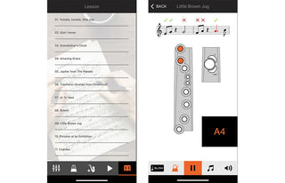 Aerophone Roland AE-01