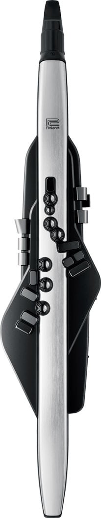 Aerophone Roland Pro AE-30