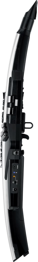 Aerophone Roland Pro AE-30