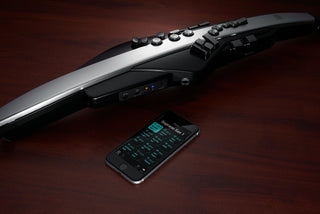 Aerophone Roland Pro AE-30