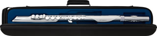 Aerophone Brisa