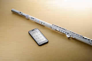 Aerophone Brisa