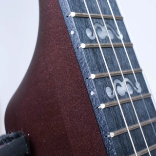 Banjo Ténor Deering Goodtime Artisan Openback 17 Fret