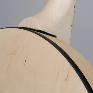 Deering Goodtime Special Banjo