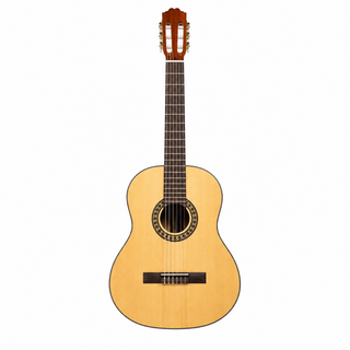 Beaver Creek 901 Classical Guitar