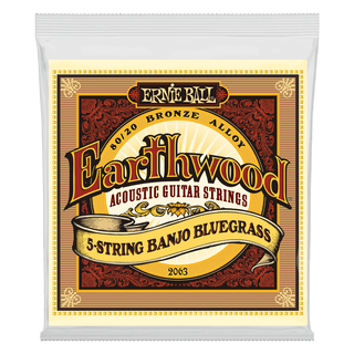 Cordes Banjo 5 Cordes Ernie Ball Earthwood 80/20 Bronze Loop End