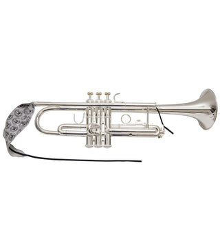BG A31T Trumpet Lead Pipe Swab