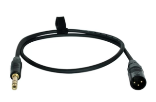 Câble Adaptateur Pro - XLR Mâle à 1/4 TRS