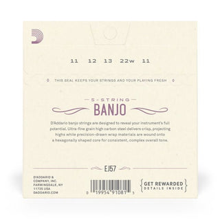 Cordes Banjo D'Addario 5 Cordes Nickel Plated Steel
