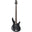 Manguier noir translucide