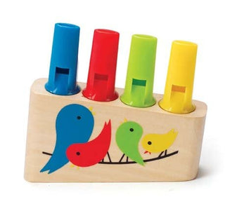 Flûte de Pan Arc-en-ciel Hape
