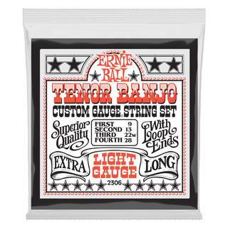Cordes Banjo Ténor Ernie Ball Stainless Steel Loop End