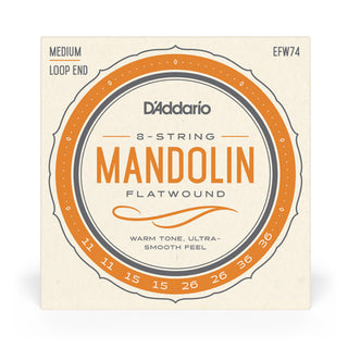 Cordes Mandoline D'Addario Flat Wound Medium