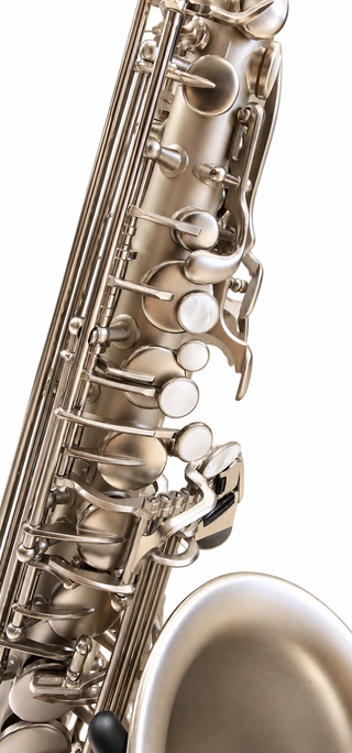 Twigg Signature Remi Bolduc Alto Saxophone