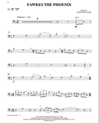 Harry Potter Instrumental Solos, Violoncelle