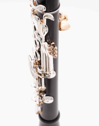 Clarinette Sib Royal Global FIREBIRD