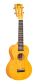 Tournesol