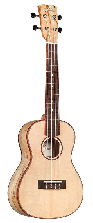 Cordoba 24C Concert Ukulele