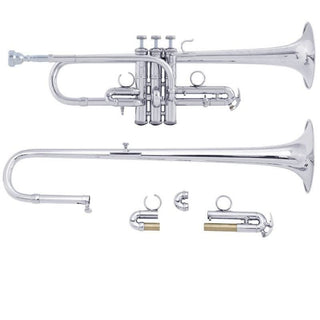 Bac Artisan Series D/Eb Trumpet - Silver