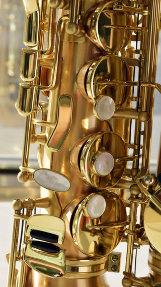 Saxophone Alto P. Mauriat Le Bravo 200