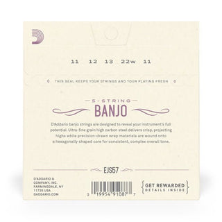 Cordes Banjo D'Addario 5 Cordes Stainless Steel
