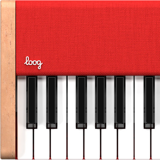 LOOG Piano Bundle Portable Rechargeable + Étui