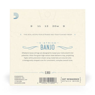 D'Addario 5-String Banjo Strings Phosphor Bronze